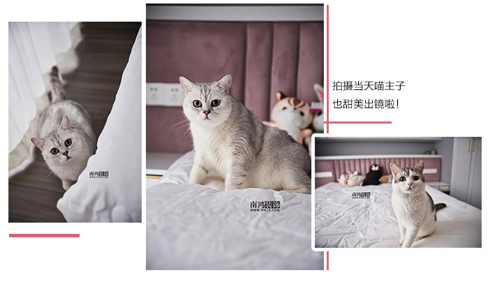 1596073638537423.jpg 微信图片_20200730092735.jpg