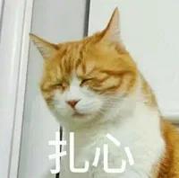 微信图片_20210315092142.jpg