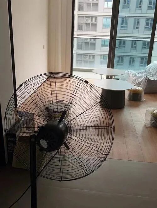 微信图片_2026-04-17_154139_324.jpg